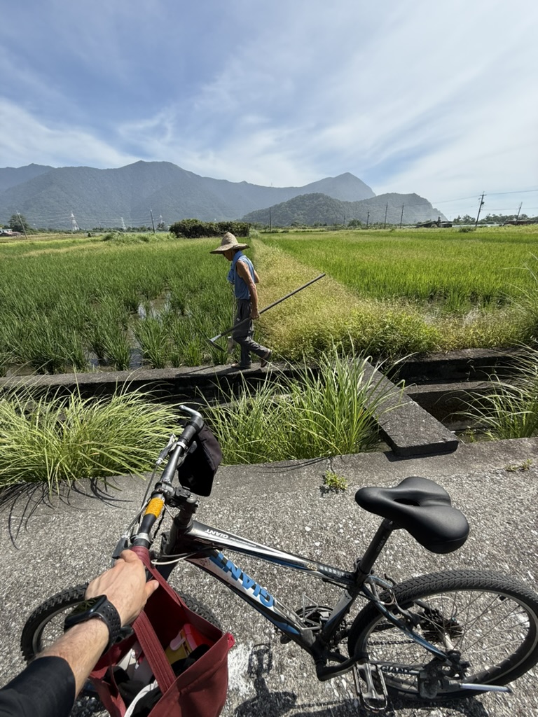 A bicycle beside a rice paddy, with 阿聰 in the background