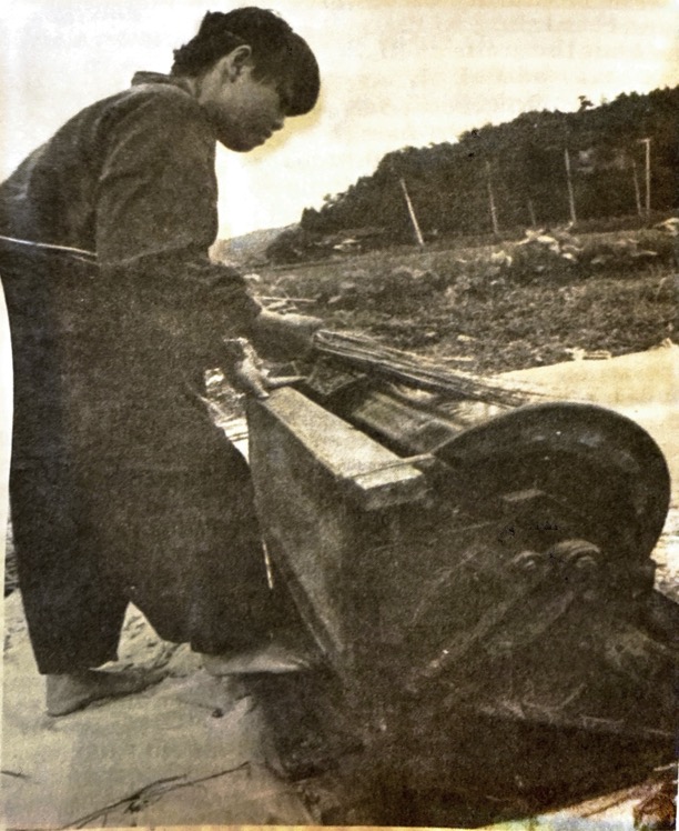 A foot-powered threshing machine