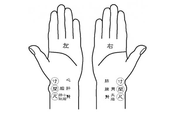 Diagram of pulse diagnosis positions on the wrist